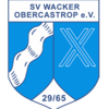 Svwologo 284x300 thumb