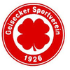Geisecker sv thumb