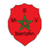 Msv thumb