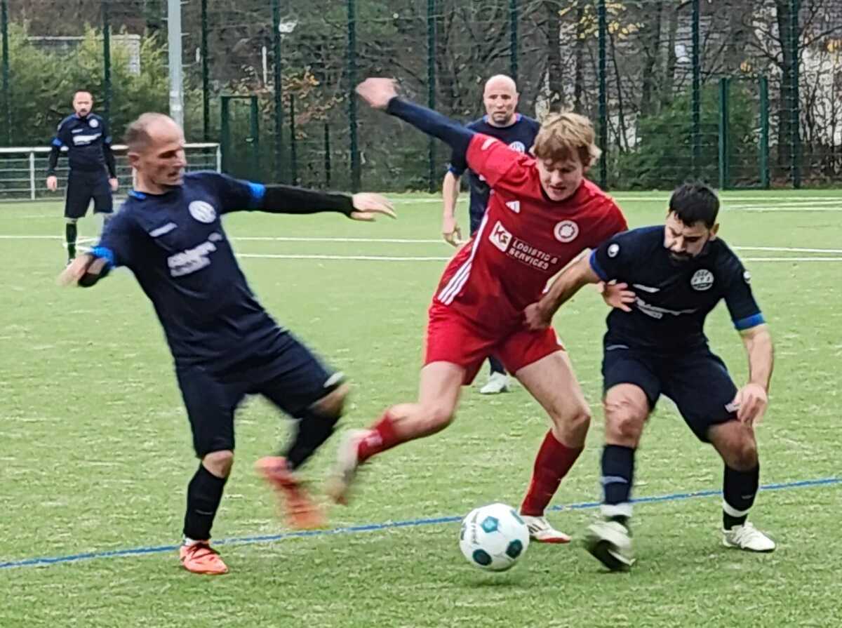 Whatsapp image 2025 11 25 at 16.54.11 retina